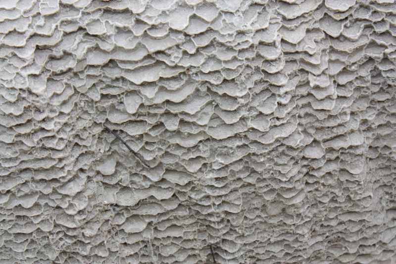 Nieuw-Zeeland 2011 - 0765